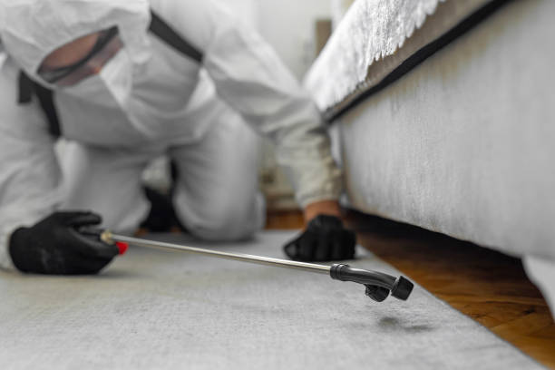 Professional Bed Bug Control technician working in Robie Creek, ID