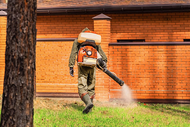 Trusted Bed Bug Control service in Robie Creek, ID - Nex Pest Control